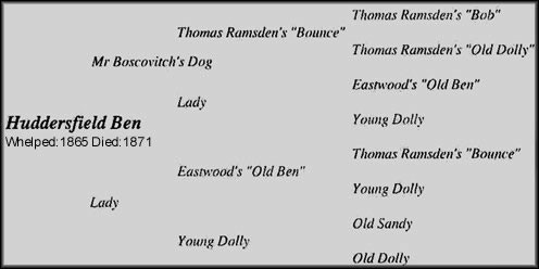 pedigree of the first yorkshire terrier show dogs in the 1800's